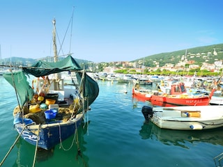 Ferienhaus Lerici Umgebung 25