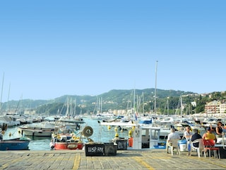 Ferienhaus Lerici Umgebung 26