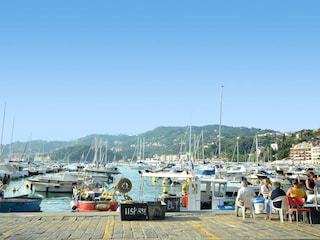 Ferienhaus Lerici Umgebung 20