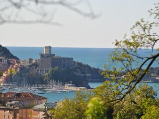 Ferienhaus Lerici Umgebung 30