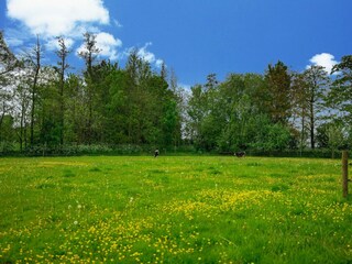 Appartement Tinallinge Omgeving 26