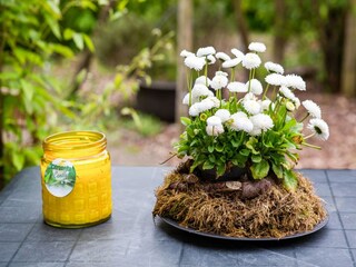 Appartamento Tinallinge  33