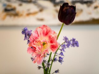 Apartment Tinallinge  35