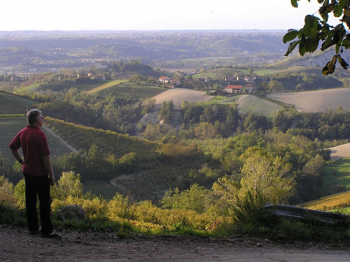 Weinberge