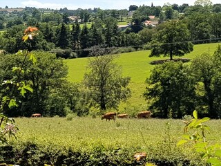 Ferienhaus Lapeyrouse Außenaufnahme 7