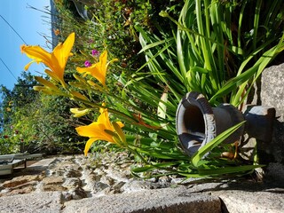 Maison de vacances Lapeyrouse Enregistrement extérieur 11