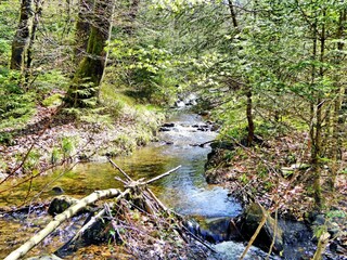 Chalet Manhay Environnement 25