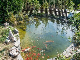 Vakantiehuis Houyet  36