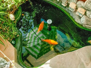 Ferienhaus Houyet  39