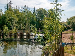 Vakantiehuis Houyet  37