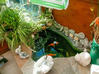 Vakantiehuis Houyet  38