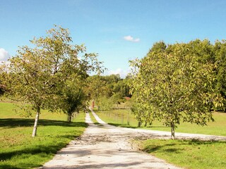 Ferienhaus Issac Außenaufnahme 11