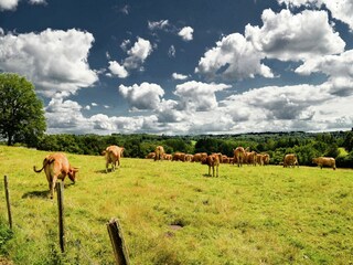 Casa de vacaciones Issac Entorno 32