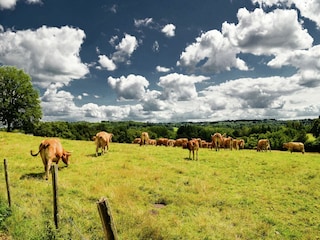 Ferienhaus Issac Umgebung 32