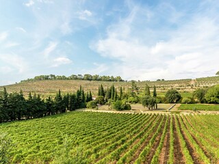 Villa Saint-Antonin-du-Var Environnement 37