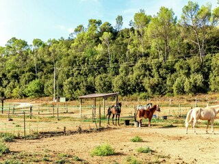 Villa Saint-Antonin-du-Var Environnement 34