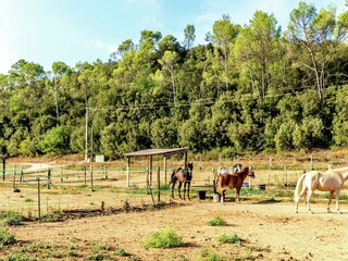 Villa Saint-Antonin-du-Var Ambiente 37