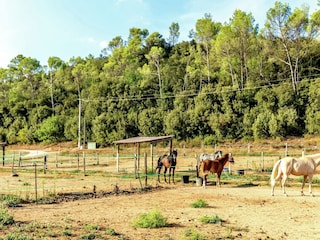 Villa Saint-Antonin-du-Var Umgebung 39