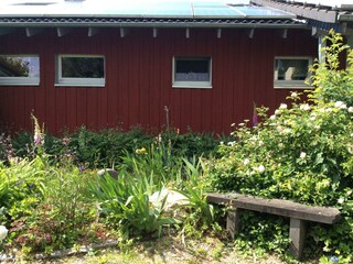 Der wilde Garten