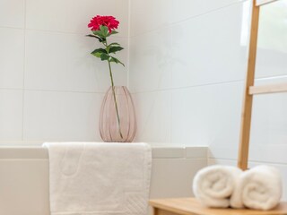 Villa Porec Registrazione all'aperto 11