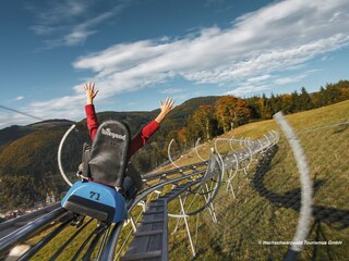 Casa per le vacanze Schluchsee Ambiente 25
