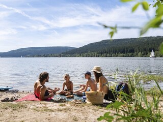 Casa per le vacanze Schluchsee Ambiente 26