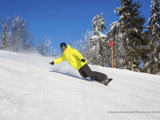 Casa per le vacanze Schluchsee Ambiente 30