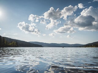 Maison de vacances Schluchsee Environnement 24