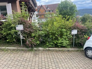 Casa per le vacanze Schluchsee Caratteristiche 21