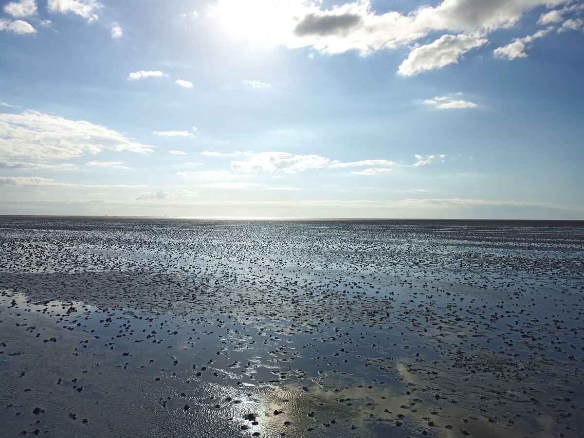 Wattenmeer