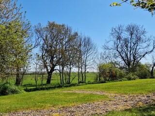 Blick zum Strand