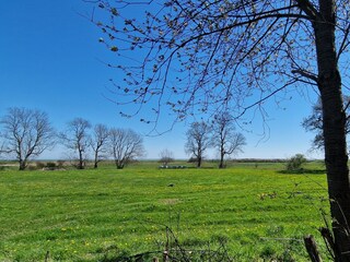 Blick zum Strand