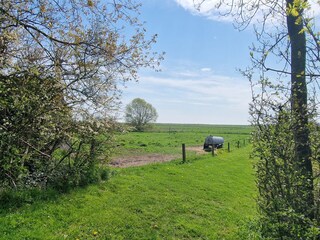 Privatweg zum Strand
