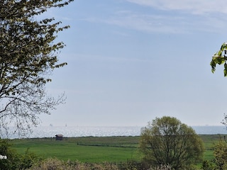 Ausblick zum Strand vom Grundstück