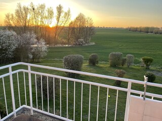 Blick vom Balkon im Frühjahr