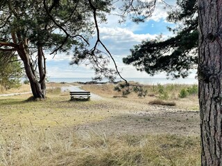 Vakantiehuis Falkvik  9