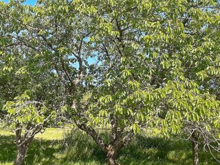 Vakantiehuis Falkvik  17