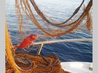 Appartement Prožura  13