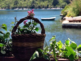 Appartement Prožura  22