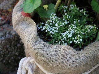 Apartment Prožura  17