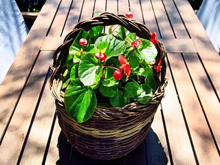 Apartamento Prožura  22