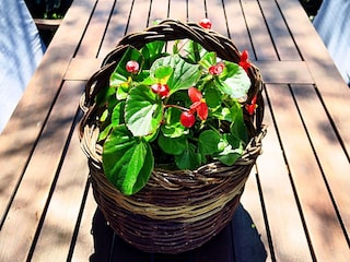 Apartment Prožura  15