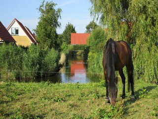 Parc de vacances Andijk  24