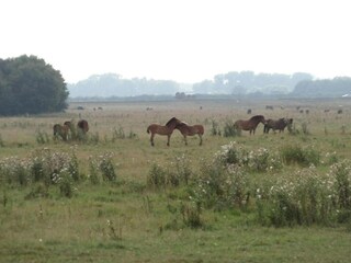 Vakantiepark Reek Omgeving 14