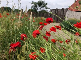 Vakantiepark Uden Omgeving 23