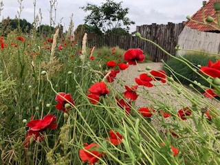 Vakantiepark Uden Omgeving 29