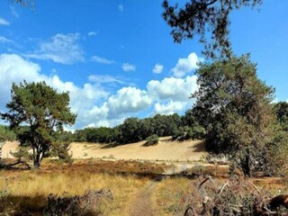 Vakantiepark Uden Omgeving 29