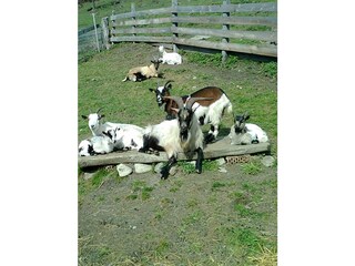 foto0138_001