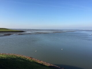 Appartement de vacances Dangast Environnement 25