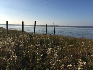 Appartement de vacances Dangast Environnement 27